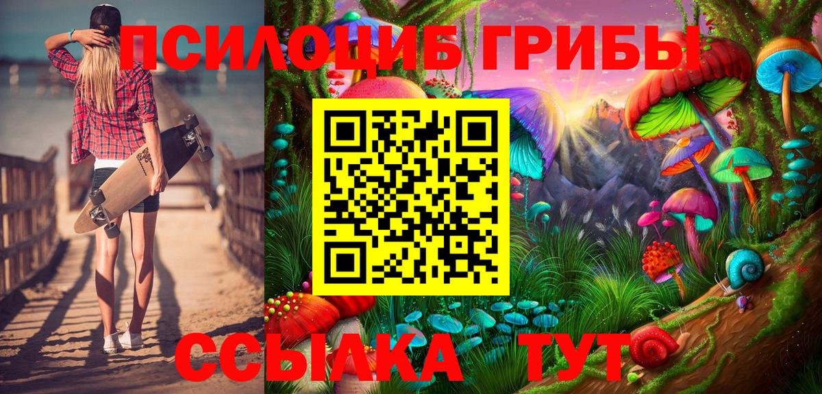 Галлюциногенные грибы Psilocybine cubensis Вольск