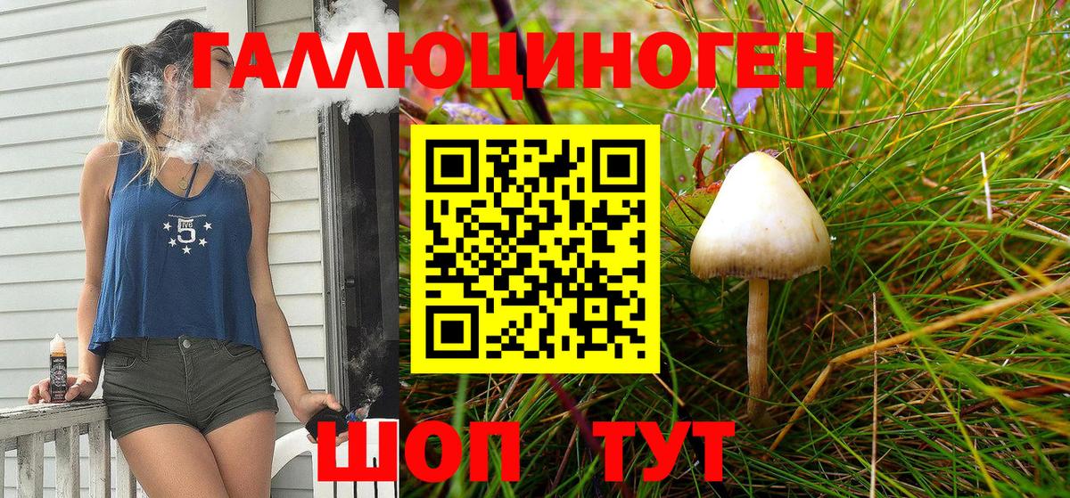 Псилоцибиновые грибы Cubensis  Вход с VPN  Вольск  Псилоцибиновые грибы ЛСД 